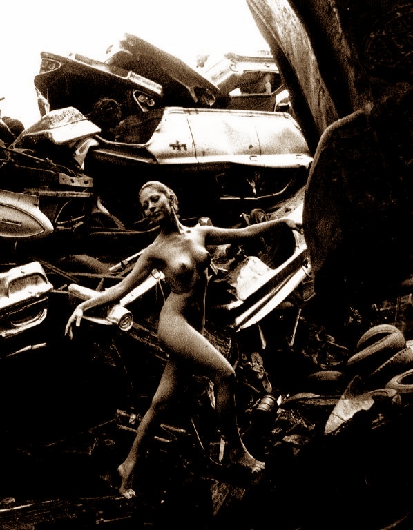 鰐淵晴子画像18