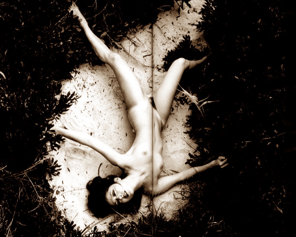 鰐淵晴子画像29